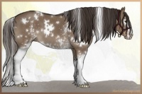 Horse Color:White Spotted Liver Red Dun