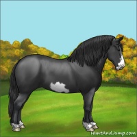 Horse Color:Black Frame 