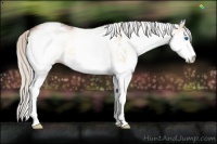 Horse Color:White Spotted Silver Buckskin Onyx Splash