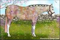 Horse Color:Nacre Chestnut Ice Sabino Splash 