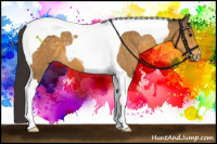 Horse Color:Buckskin Tobiano