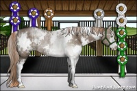 Horse Color:Plaid White Spotted Liver Red Dun Sabino Rabicano