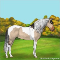 Horse Color:Brown Dun Tobiano 