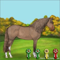 Horse Color:Liver Red Dun 