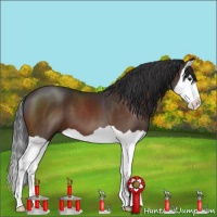 Horse Color:Brown Splash