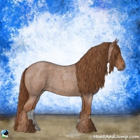 Horse Color:Red Roan
