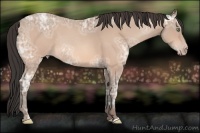 Horse Color:Amber Champagne Ice Roan Rabicano