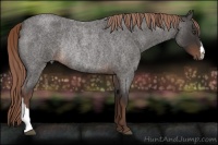 Horse Color:Liver Red Roan Rabicano 