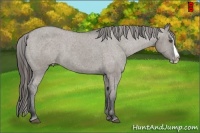 Horse Color:Grullo Splash Varnish Rabicano 