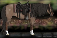 Horse Color:Liver Red Dun