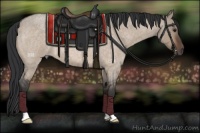 Horse Color:Brown Roan Dun 