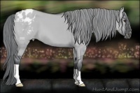 Horse Color:Grullo Chinchilla Blanket 