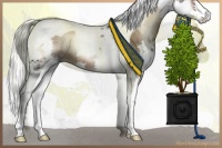Horse Color:Liver Red Onyx Mushroom Splash Tobiano 