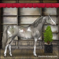 Horse Color:White Spotted Liver Red Dun Ice Mushroom Rabicano Brindle