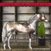 Horse Color:White Spotted Liver Red Onyx Mushroom
