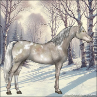 Horse Color:White Spotted Liver Red Dun Ice Mushroom 