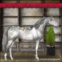 Horse Color:Platinum White Spotted Chocolate Palomino Dun 