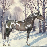 Horse Color:Platinum White Spotted Liver Chestnut 