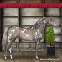 Horse Color:Platinum White Spotted Liver Chestnut Rabicano 