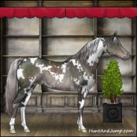 Horse Color:Platinum White Spotted Liver Chestnut Rabicano 