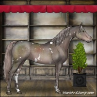 Horse Color:Platinum White Spotted Liver Chestnut 