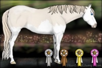 Horse Color:Smoky Creme Splash 