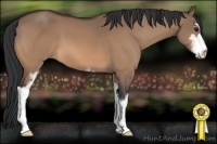 Horse Color:Brown Dun Sabino