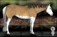 Horse Color:Buckskin Sabino Splash