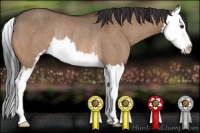 Horse Color:Brown Dun Sabino Splash Rabicano