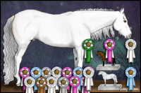 Horse Color:Gray White Spotted Buckskin Dun Splash Rabicano 