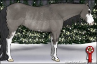 Horse Color:Grullo Sabino Rabicano 