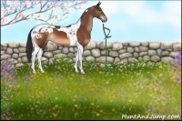 Horse Color:Bay Tobiano Appaloosa 