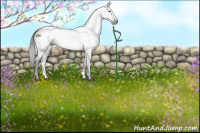 Horse Color:Gray Buckskin Dun Sabino Rabicano 