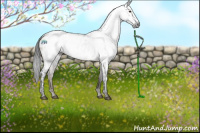 Horse Color:Gray Brown Dun Appaloosa Rabicano