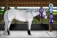 Horse Color:Painted Watercolor Cremello Roan Onyx Rabicano 
