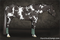 Horse Color:White Spotted Smoky Black 