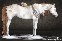 Horse Color:White Spotted Smoky Blue Onyx Ice Pearl Splash 