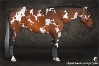 Horse Color:White Spotted Brown 