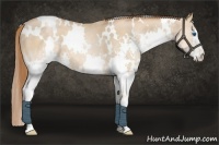 Horse Color:White Spotted Smoky Black Pearl Splash 
