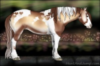 Horse Color:Red Onyx Splash Tobiano