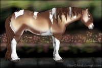 Horse Color:Red Onyx Tobiano 