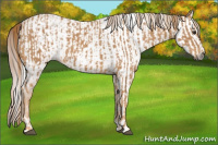 Horse Color:Chestnut and Gray Chestnut
