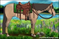 Horse Color:Amber Champagne 