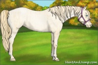 Horse Color:Buckskin Roan Pearl  and Buckskin Roan Pearl Varnish 