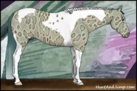Horse Color:Watercolor Buckskin Chinchilla Ice Mushroom Tobiano 