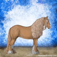 Horse Color:Chestnut Sabino
