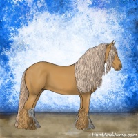 Horse Color:Palomino 