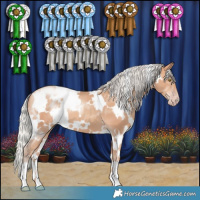Horse Color:White Spotted Silver Amber Champagne 