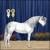 Horse Color:Gray Black Splash Frame 