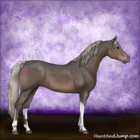 Horse Color:Silver Black Tobiano 